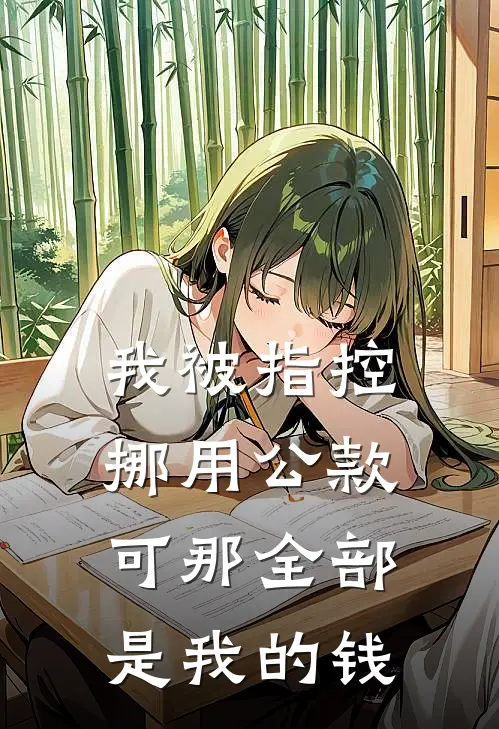 我被指控挪用公款，可那全部是我的钱