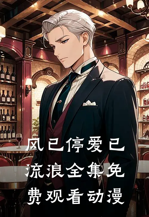 风已停爱已流浪全集免费观看动漫